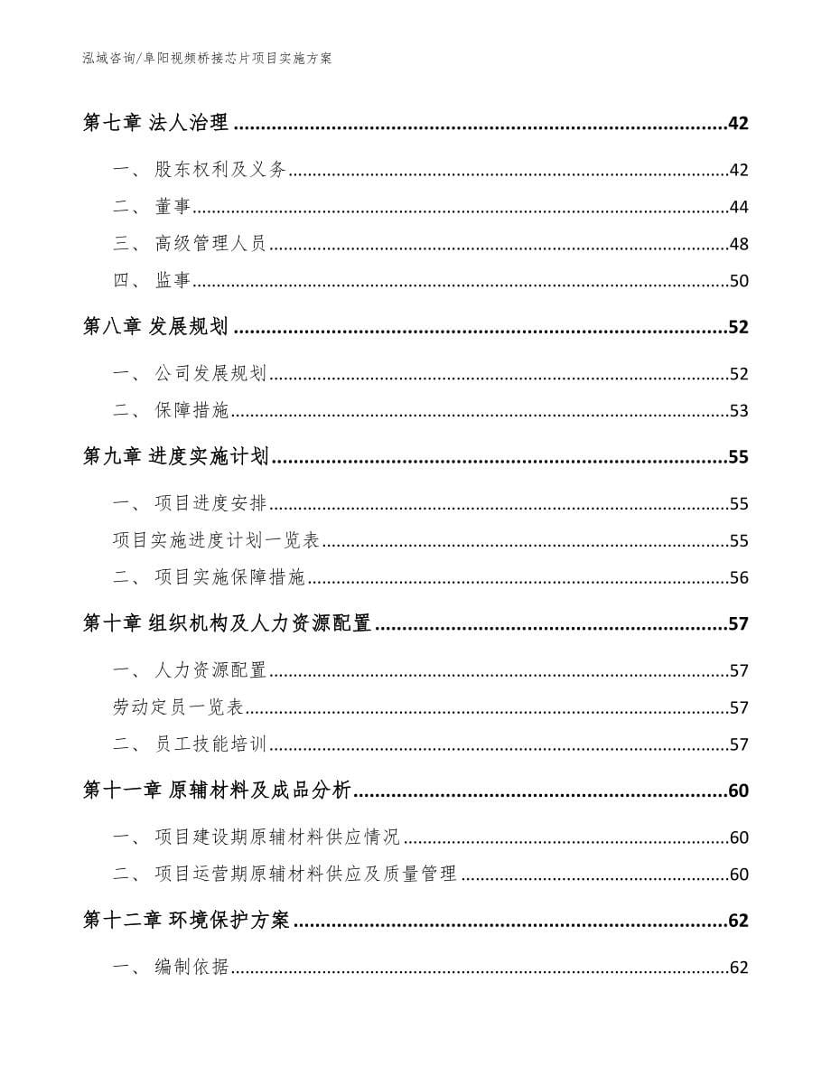 阜阳视频桥接芯片项目实施方案_模板范本_第5页