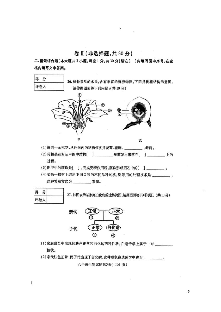 河北狮州市八年级生物下学期期中试题扫描版新人教版0522190_第5页