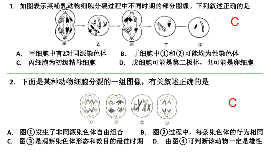 遗传的基本规律、伴性遗传经典习题.ppt_第2页