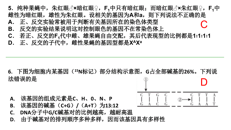 遗传的基本规律、伴性遗传经典习题.ppt_第4页