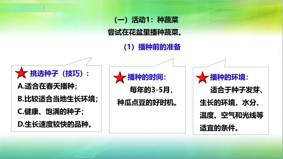 粤教版小学科学新版二年级下册科学2.6动手种蔬菜(ppt课件)_第3页