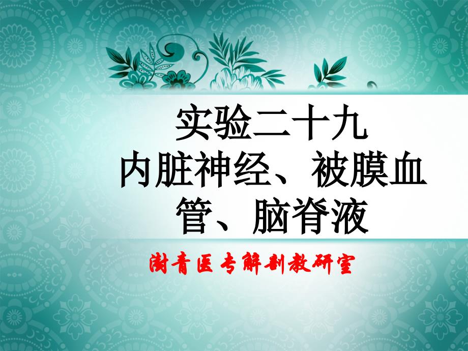 实验二十九内脏神经、被膜血管、脑脊液_第1页