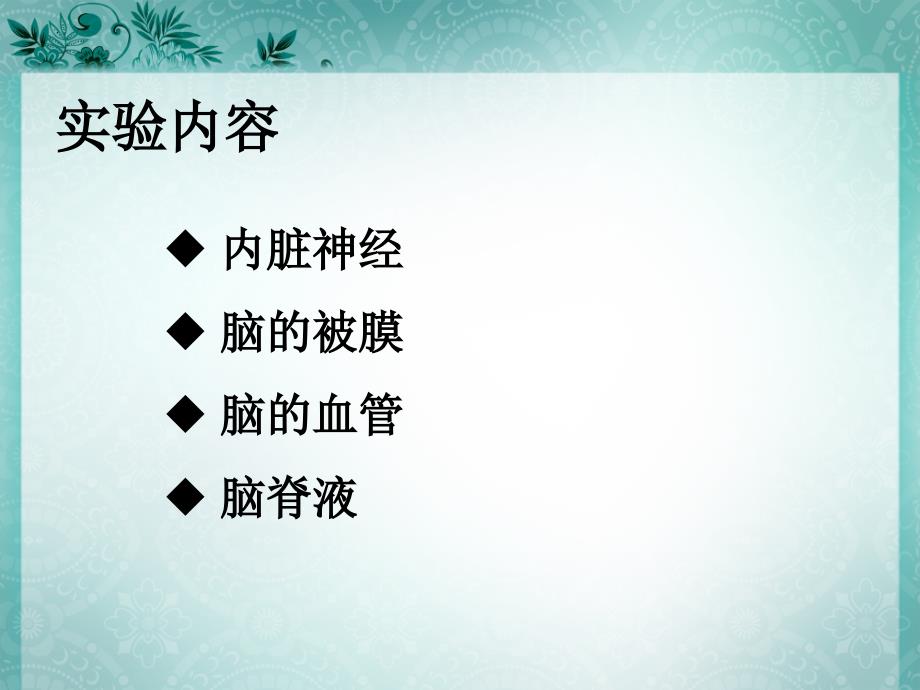 实验二十九内脏神经、被膜血管、脑脊液_第4页