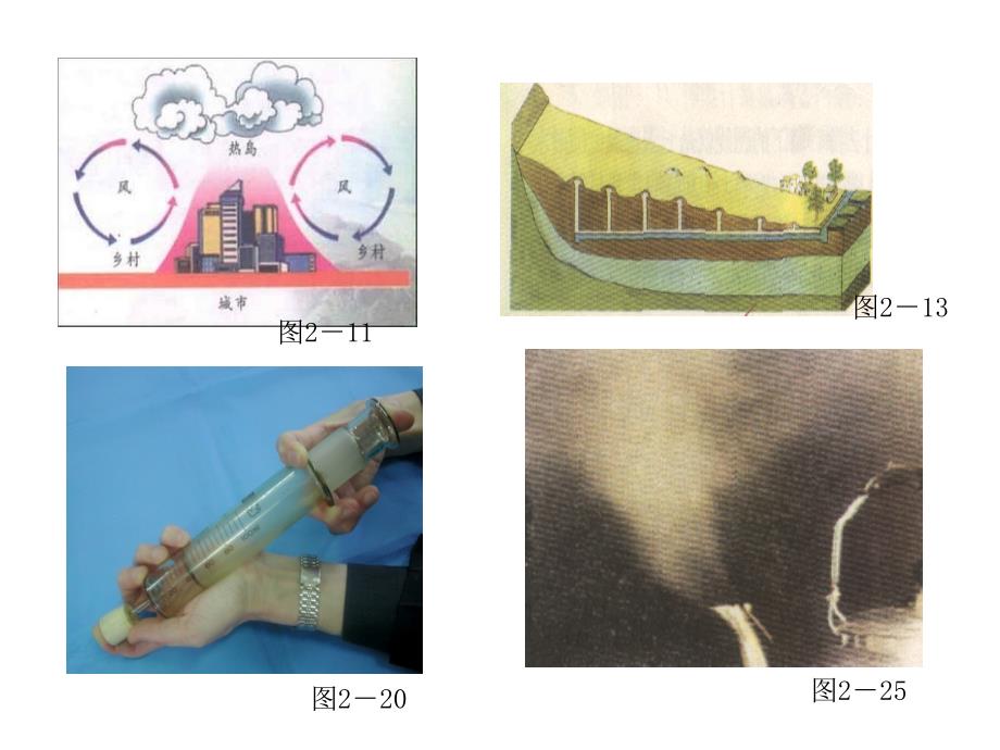 课本部分插图实验_第4页