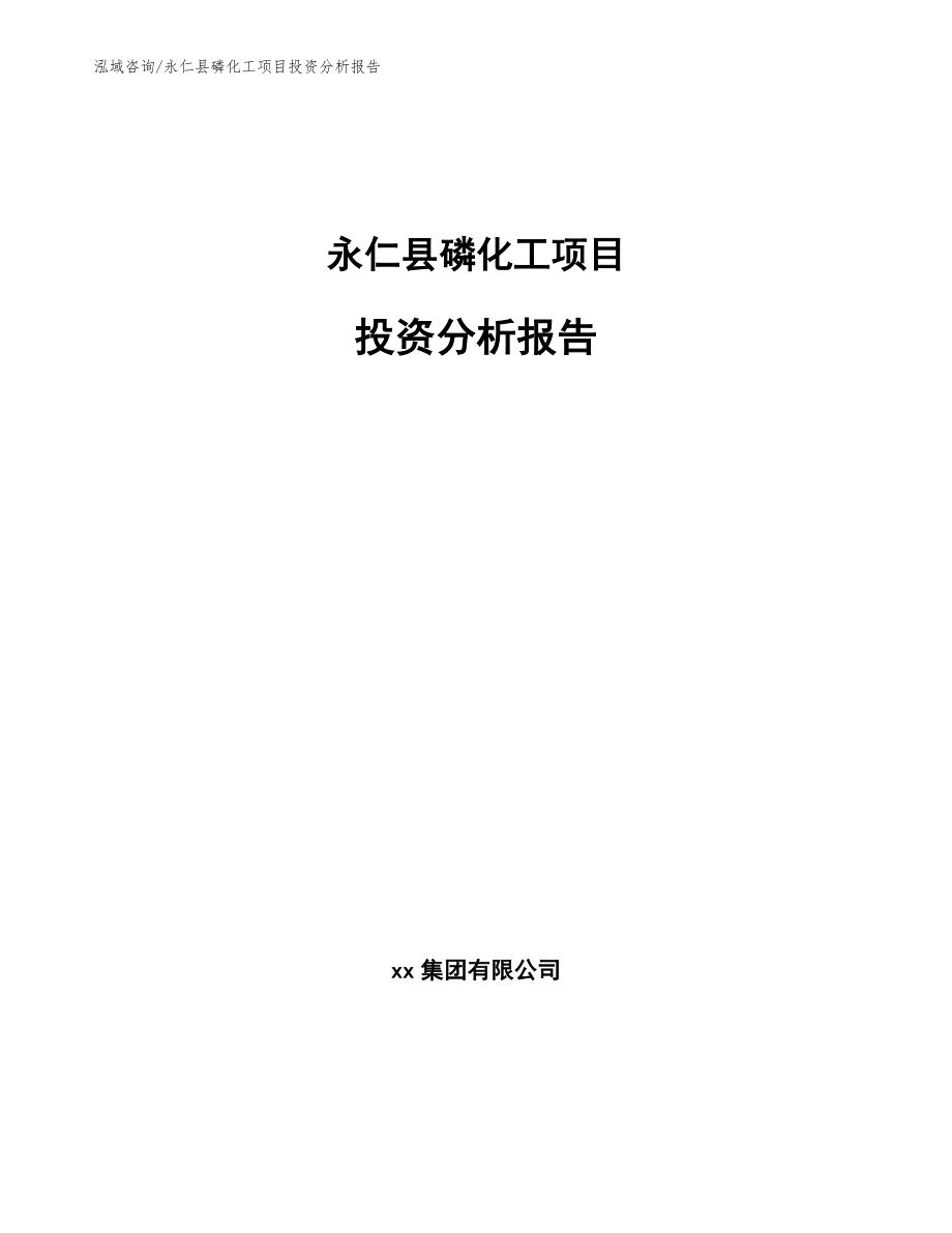 永仁县磷化工项目投资分析报告_第1页