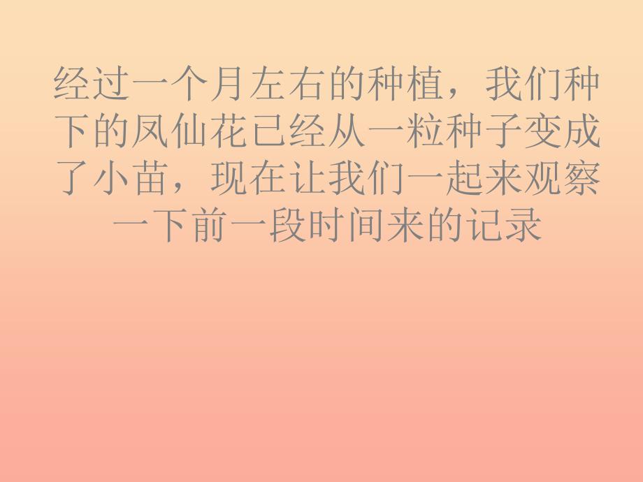 三年级科学下册植物的生长变化4种子变成了幼苗课件教科版_第1页