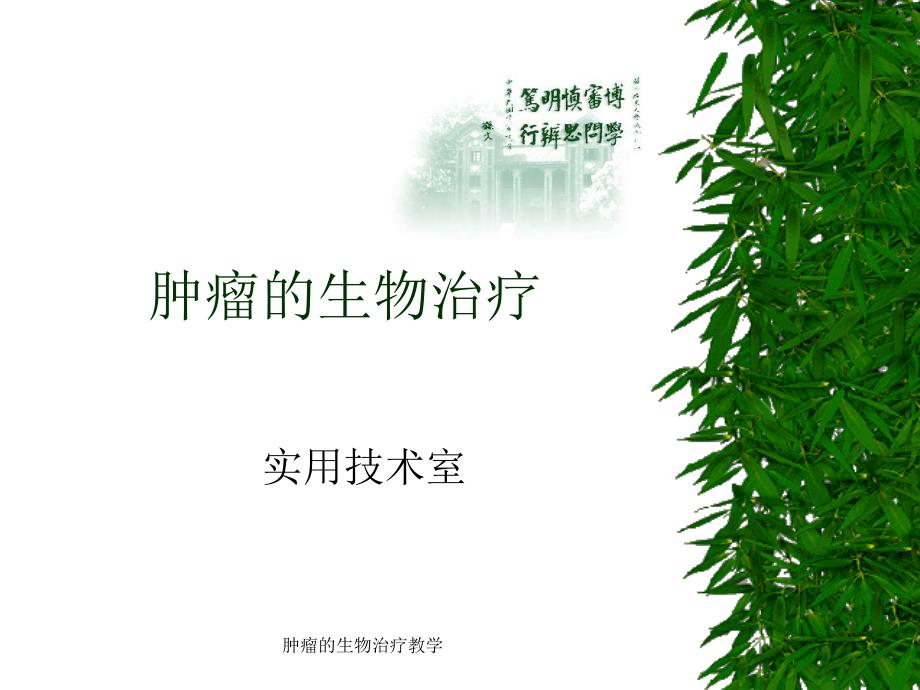 肿瘤的生物治疗教学课件_第1页