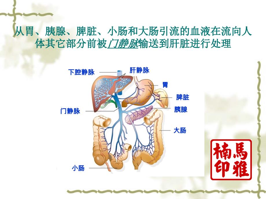 常见肝病用药指导课件_第4页