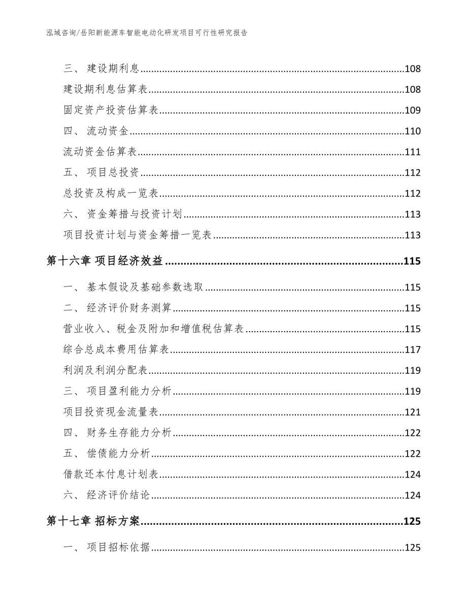 岳阳新能源车智能电动化研发项目可行性研究报告【模板范文】_第5页