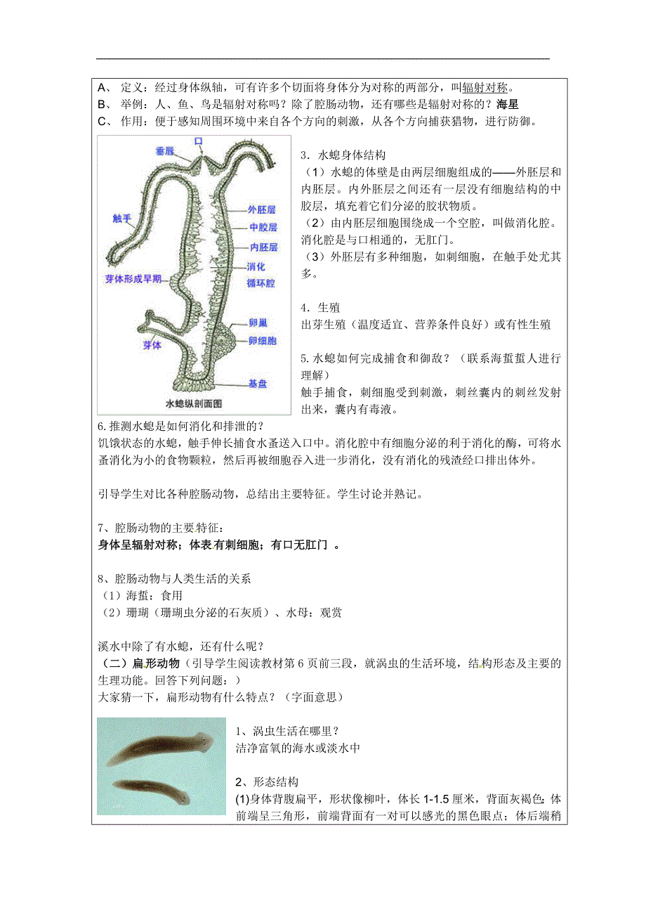 腔肠动物和扁形动物_第2页