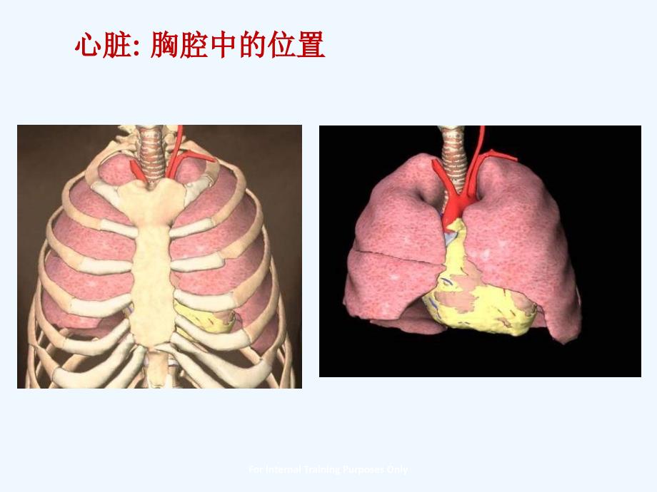 冠状动脉粥样硬化性心脏病基础知识[001]_第3页