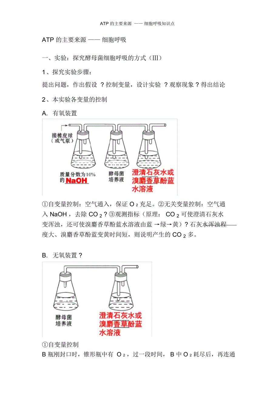 ATP的主要来源——细胞呼吸知识点_第1页