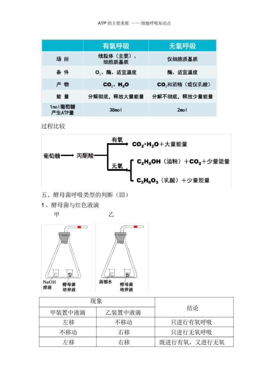 ATP的主要来源——细胞呼吸知识点_第4页