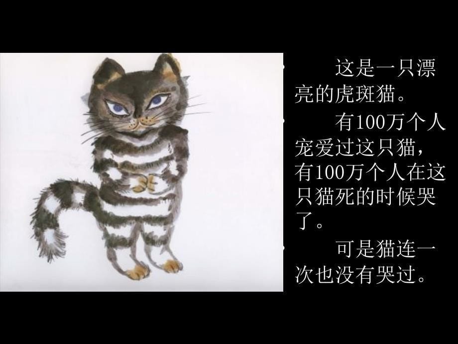 复件梅喜虎斑猫_第5页