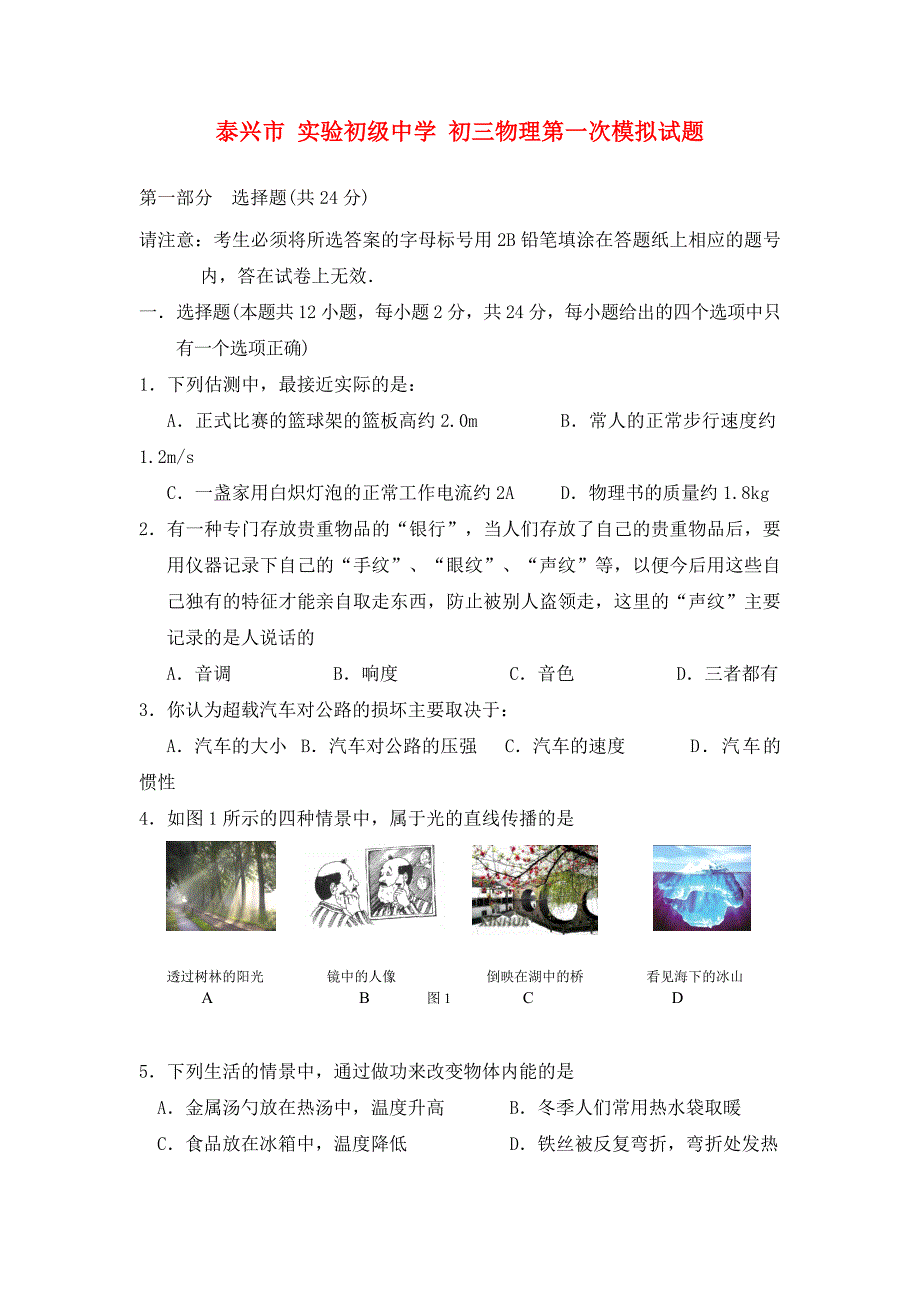 江苏省泰兴市实验初级中学九年级物理第一次模拟试题_第1页