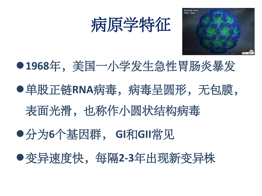 诺如病毒认知及防控[19页]_第3页