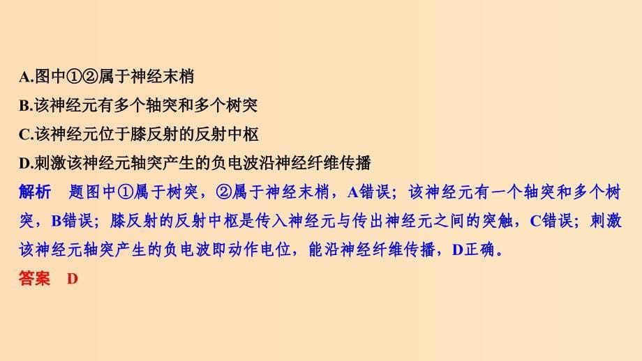 2019版高考生物总复习 第二部分 选择题必考五大专题 专题五 生命活动的调节 第11讲 神经调节课件.ppt_第5页