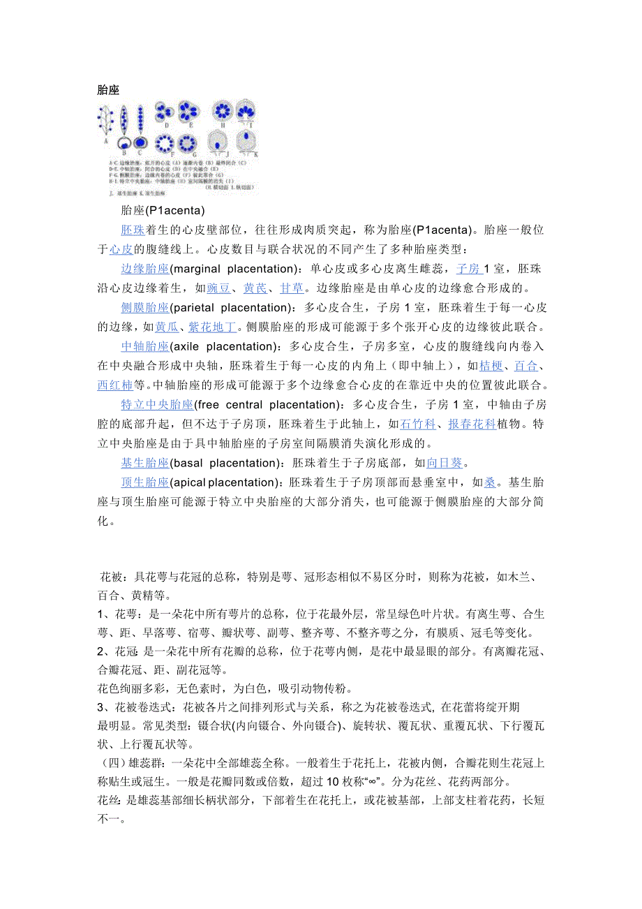 一些植物形态学术语 -.doc_第1页