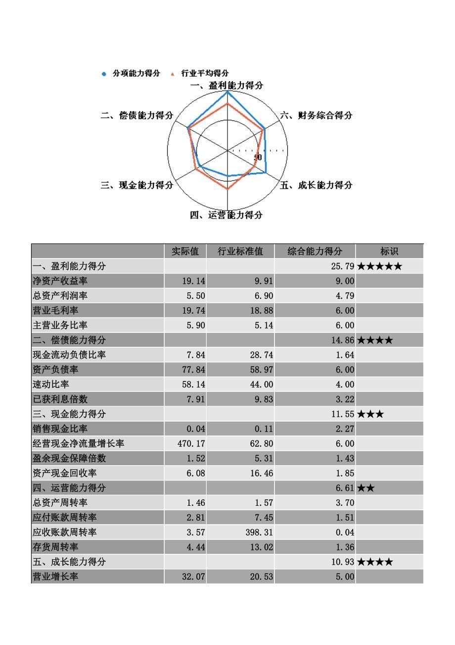 最新企业年度财务分析报告模板_第5页