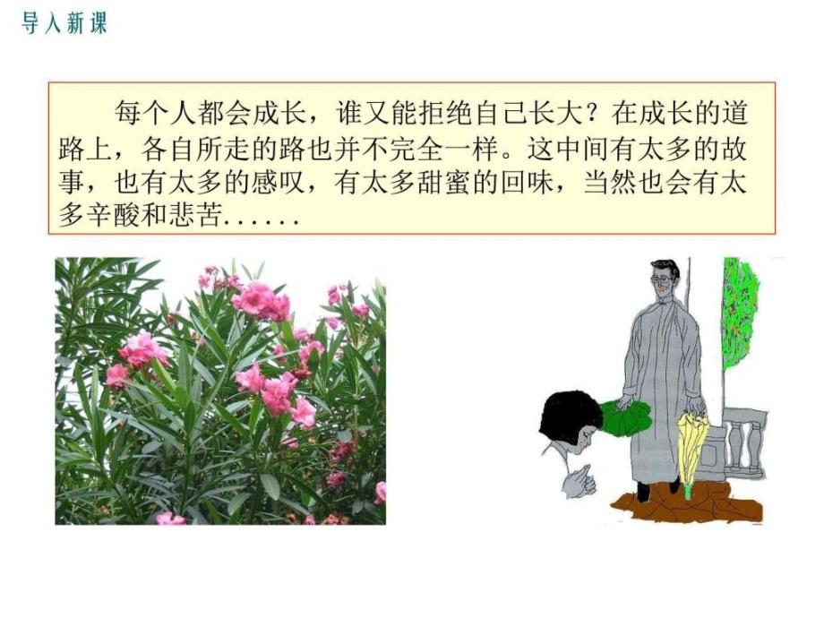 语文版七年级语文上册教学课件3.爸爸的花儿落了....ppt_第2页