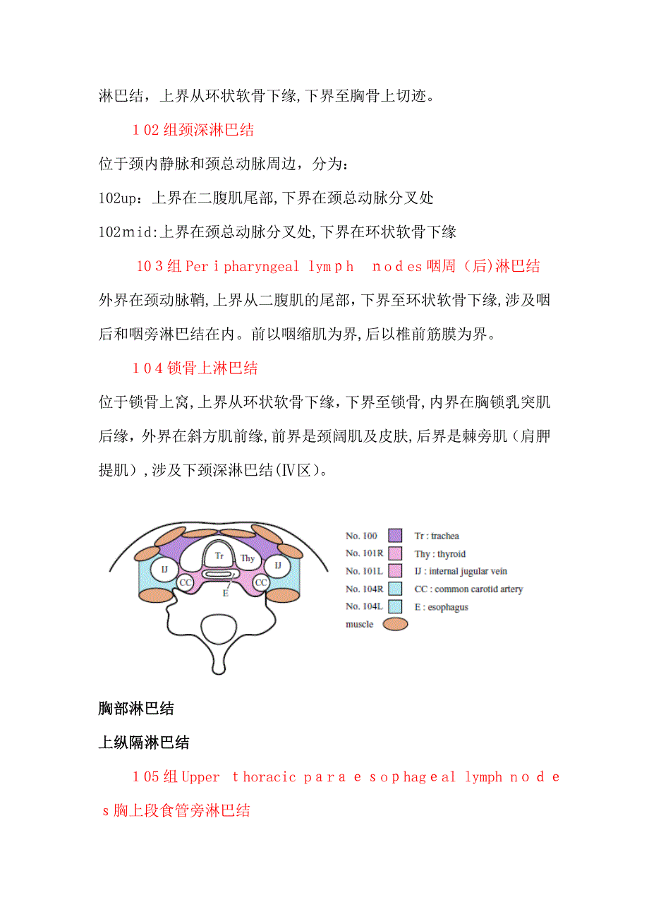 食管癌淋巴结解剖及CT定义-山东省肿瘤医院经验_第2页