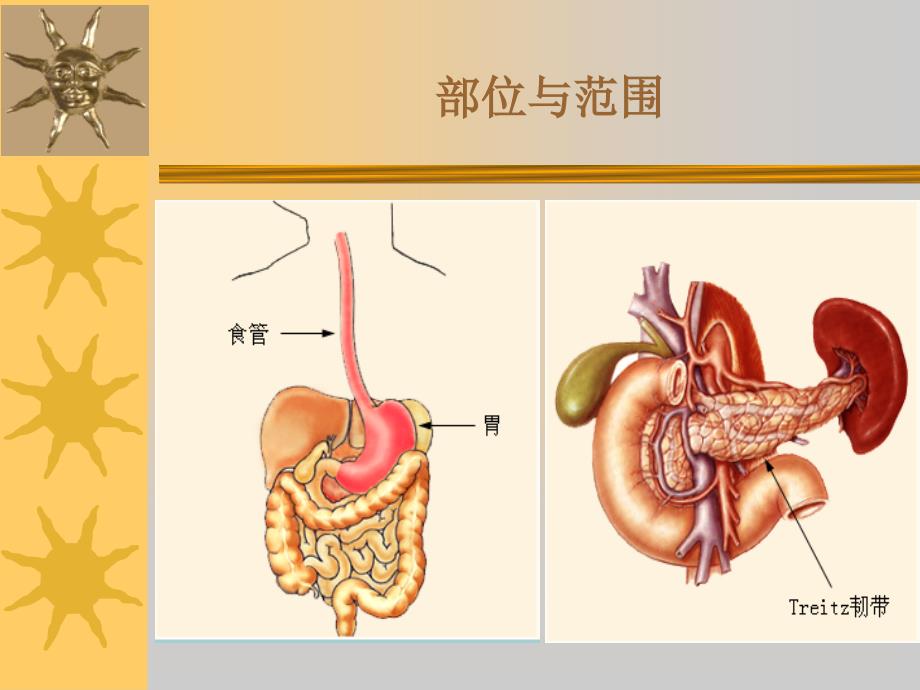 急性消化道大出血的监测及新进展课件_第3页