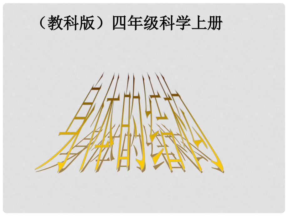 四年级科学上册 身体的结构课件 教科版_第1页