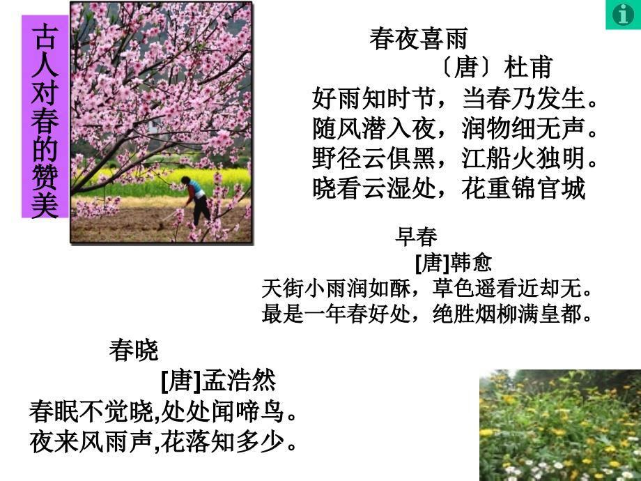 朱自清作品教学PPT_第2页