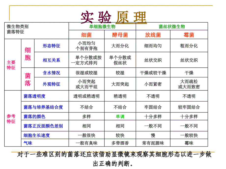 实验四微生物菌落的观察和细菌的运动性观察_第3页