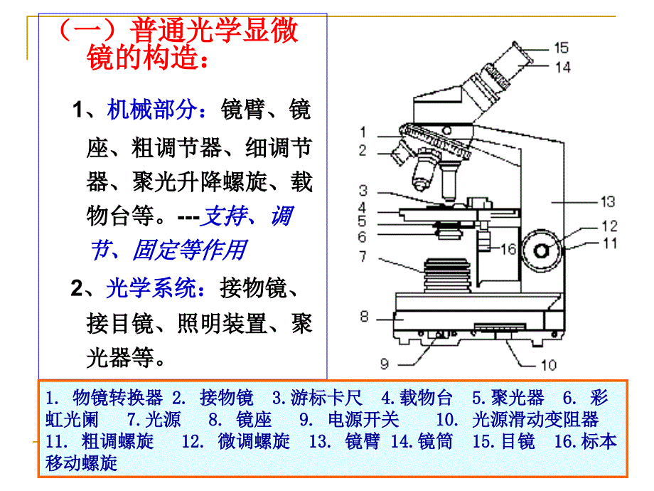 实验四微生物菌落的观察和细菌的运动性观察_第4页