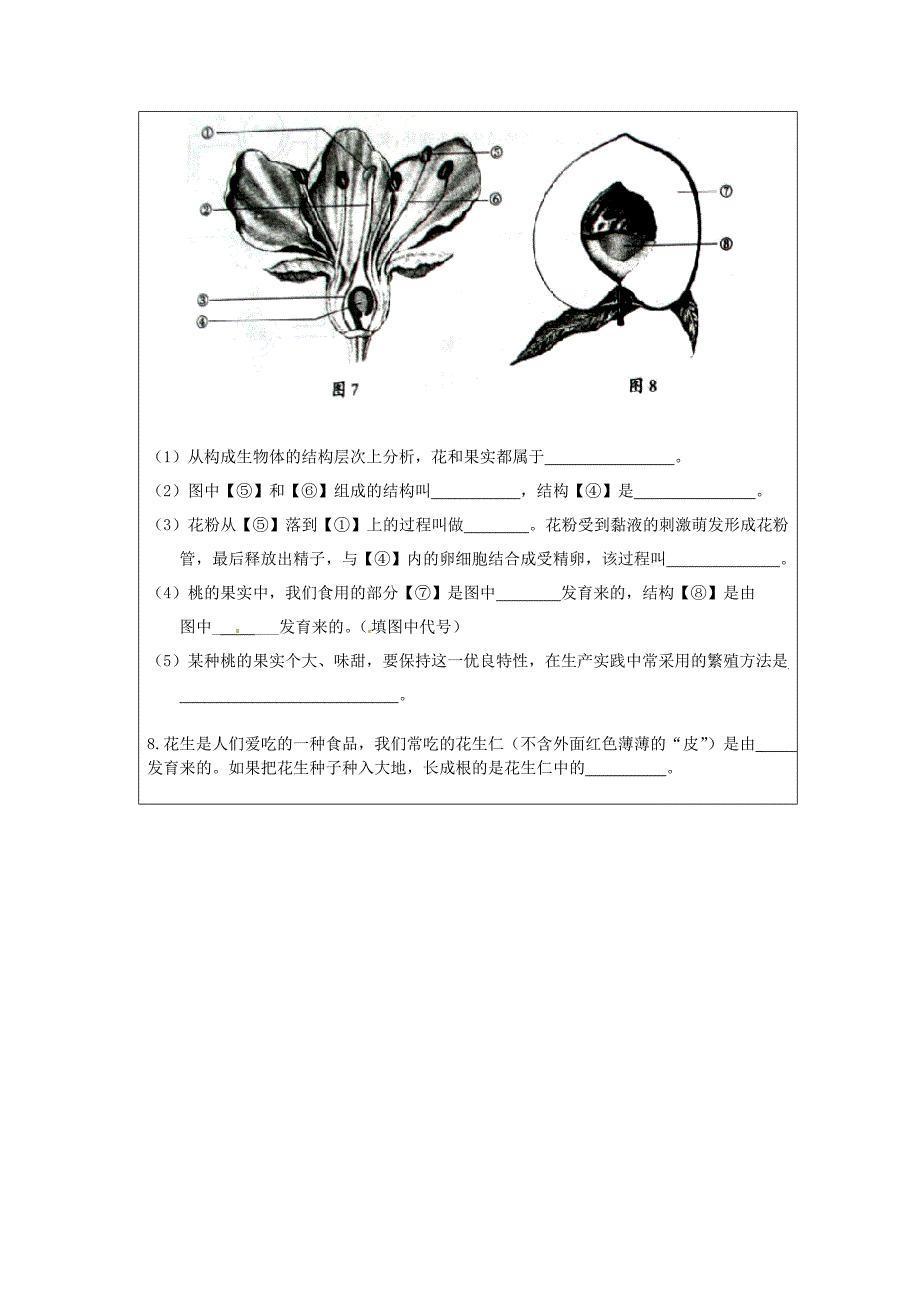 精选类云南省麻栗坡县董干中学八年级生物下册第二十一章第二节植物的有性生殖导学案无答案苏教版_第4页