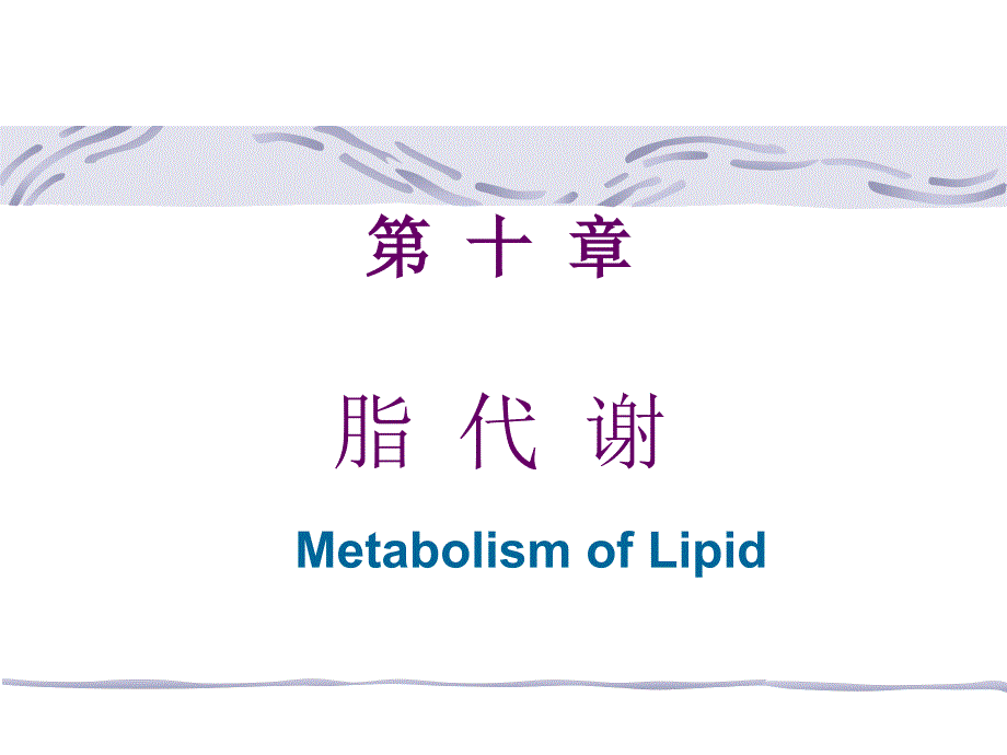 脂代谢培训教学PPT_第1页