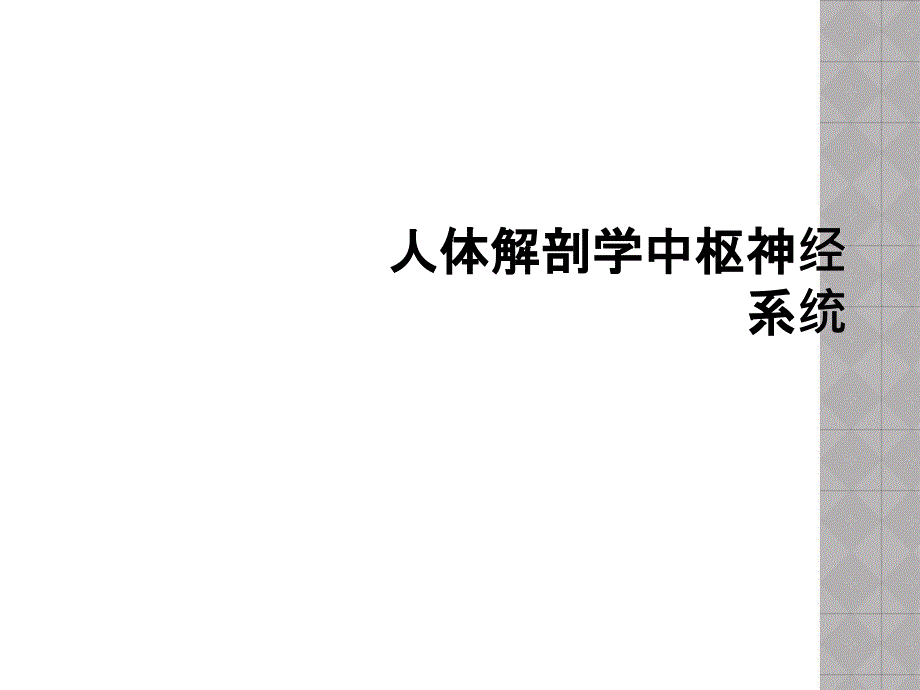 人体解剖学中枢神经系统_第1页