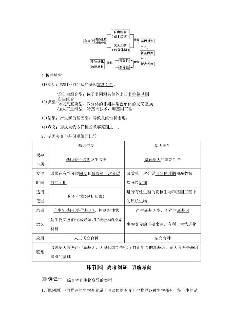 （山东专用）2015年高考生物 第三单元 第1讲 生物的变异教学案 新人教版必修_第5页