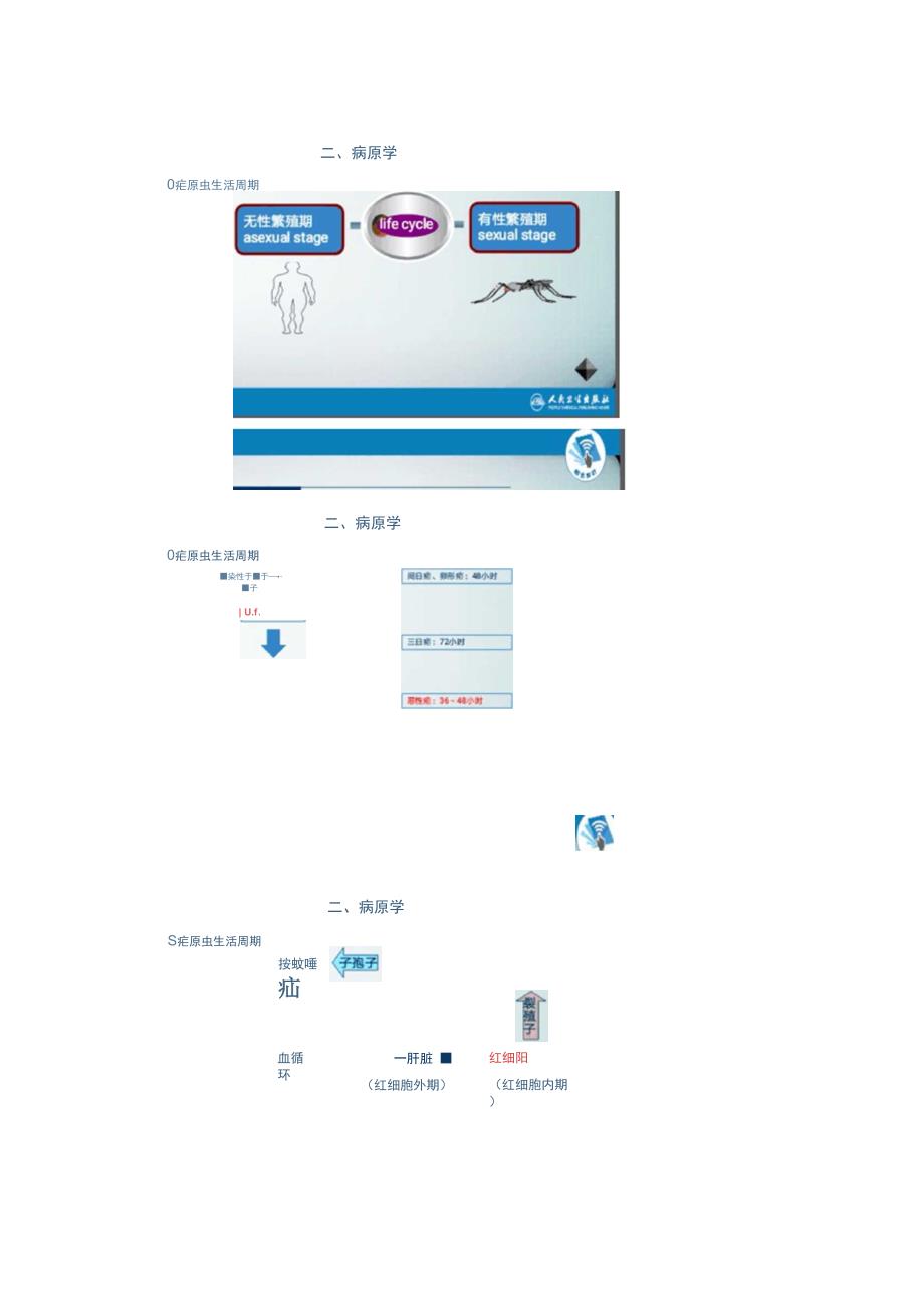 疟疾的知识点_第2页