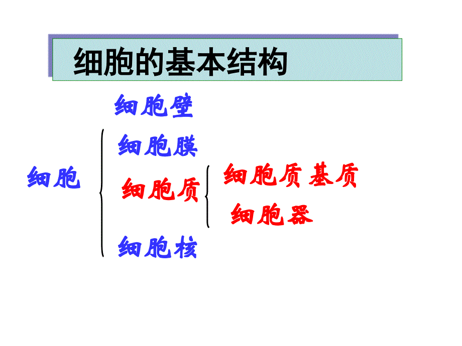 必一2-1细胞膜_第2页