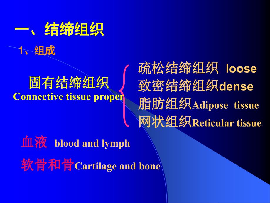 实验二结缔组织肌组织神经组织文档资料_第2页