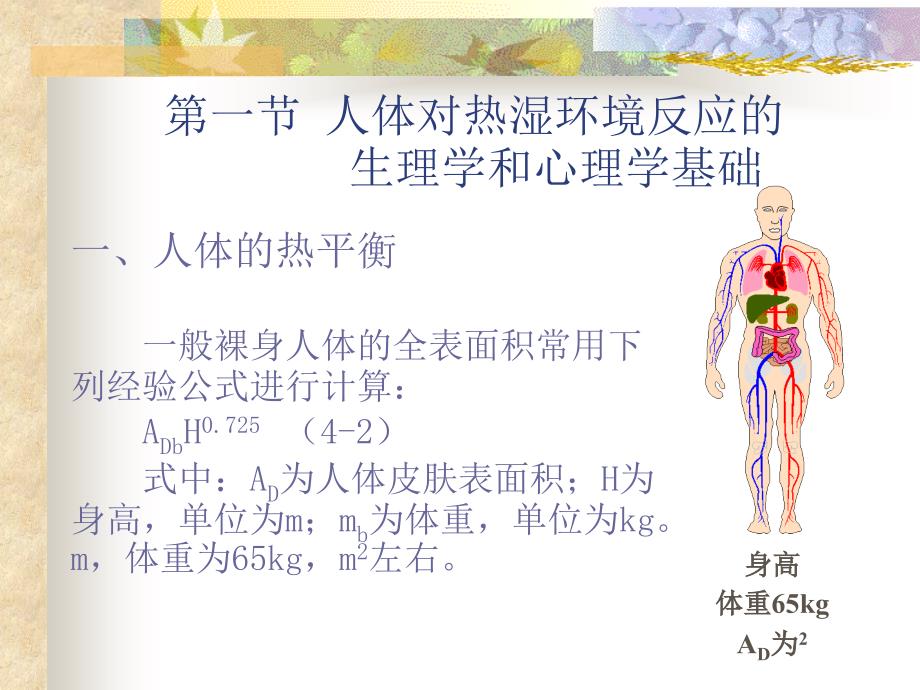 人体对热湿环境的反应教学_第5页