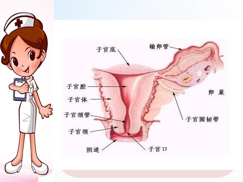 妇科护理查房课件_第4页