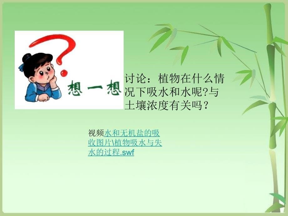 绿色植物的生长需要水和无机盐课件_第5页