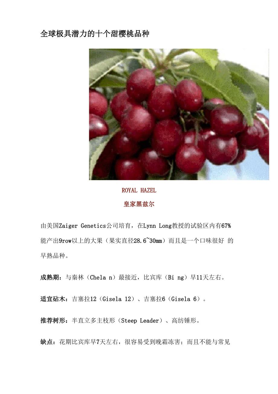 全球极具潜力的十个甜樱桃品种_第1页