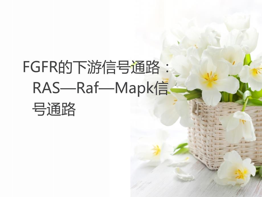 RAS—Raf—Mapk信号通路课件.ppt_第1页