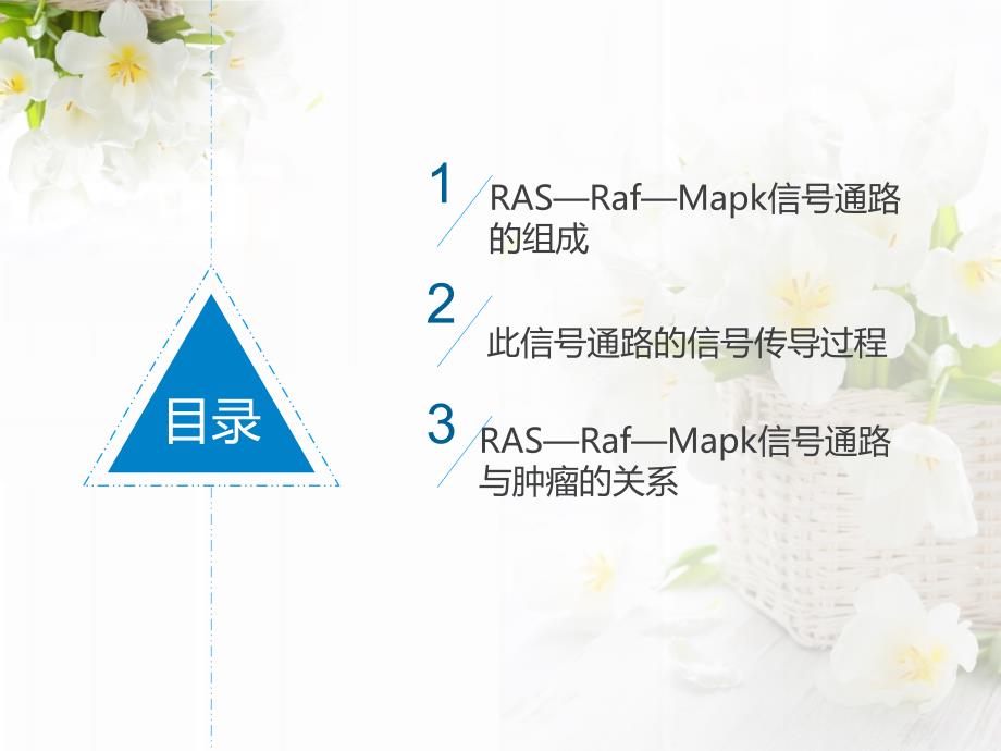 RAS—Raf—Mapk信号通路课件.ppt_第2页