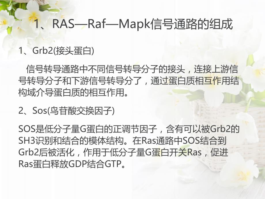 RAS—Raf—Mapk信号通路课件.ppt_第3页