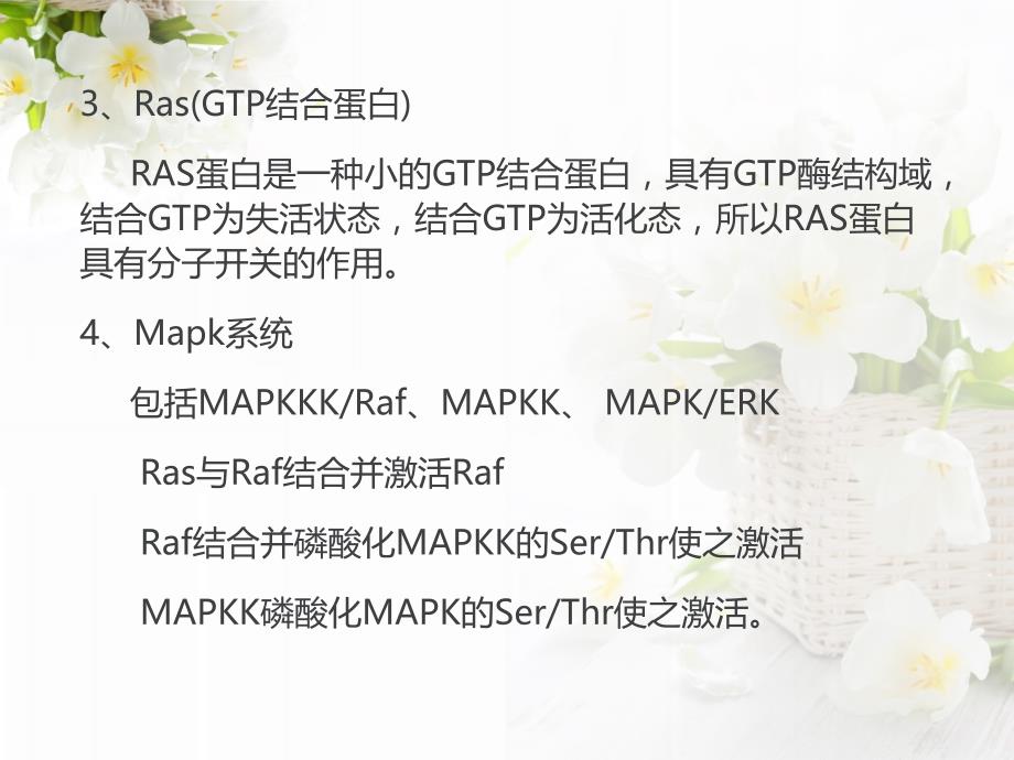 RAS—Raf—Mapk信号通路课件.ppt_第4页