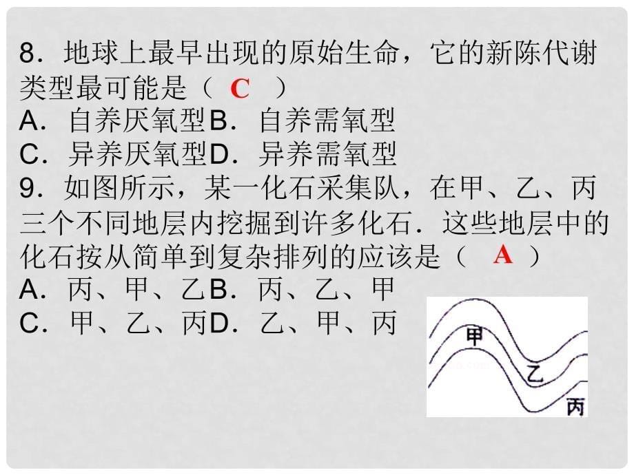 八年级生物下册 7.3 生命起源和生物进化综合检测课件 （新版）新人教版_第5页