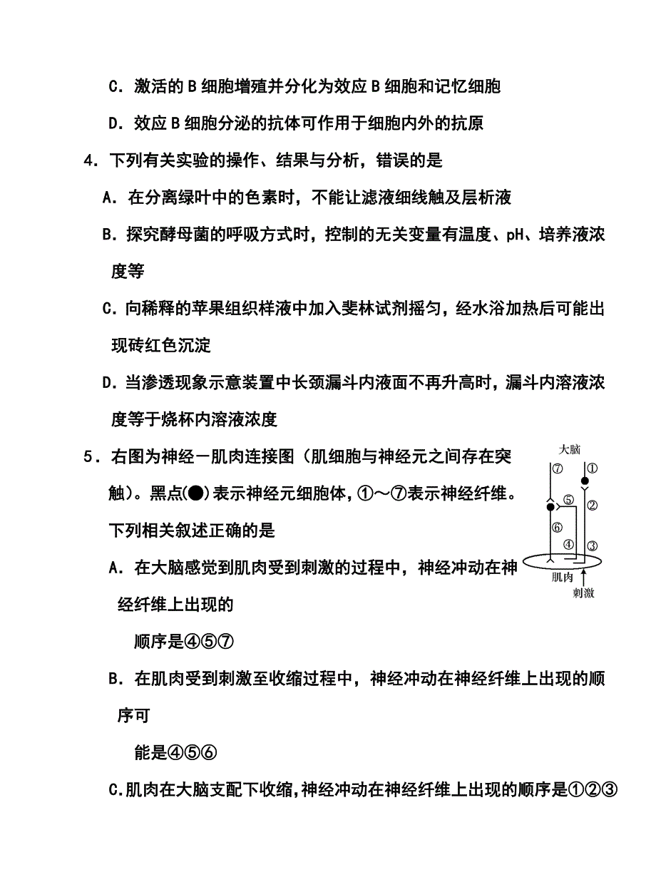 广西玉林市博白县高三模拟试题博白统测理科综合试题及答案_第2页