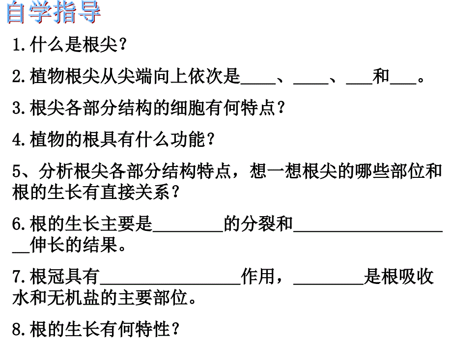 第二节根的生长精品教育_第2页