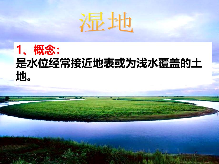 liang高中地理专题复习之湿地资源的_第2页