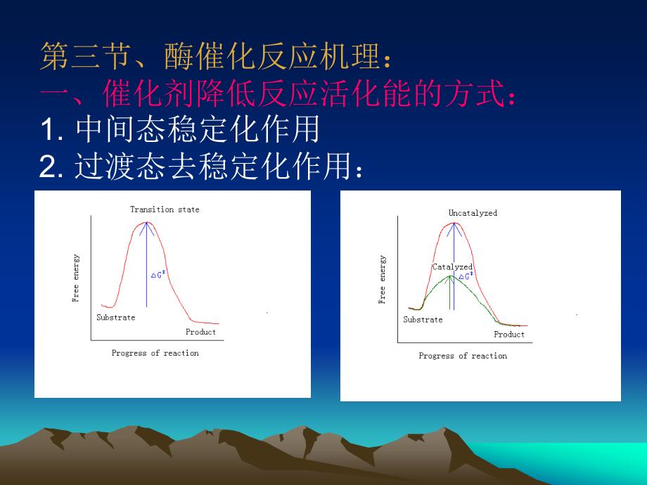 《酶作用的结构基础》PPT课件_第4页